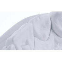 BioFixN 5x4 kg gallery