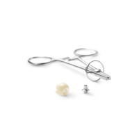 Smileline ImplantatbasenHalter 3