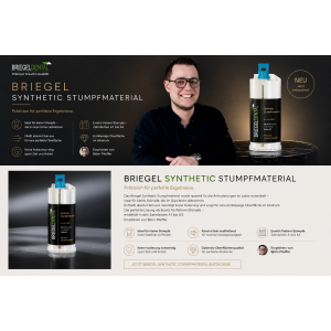 BRIEGEL-SyntheticStump