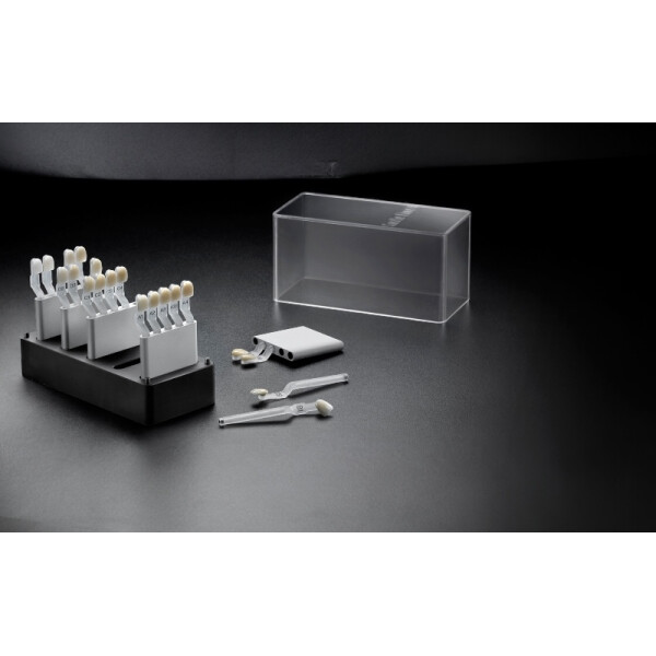 Smileline My Shade Guide