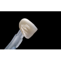 Smileline My Shade Guide 3