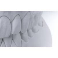 Q1.Rock (div. Farben) gallery