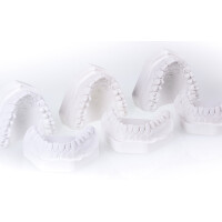 BioFixSpeed 20 kg gallery