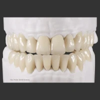 InfinityTemp Premium PMMA Blank 2