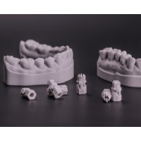 TL² - PivotPin (100St.)  für S gallery