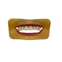 Silikon Lippenmodell Set (4-tlg.) 2