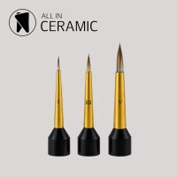 ALL-IN-CERAMIC Pinselspitzen für Mi gallery