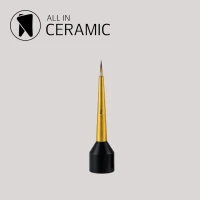 ALL-IN-CERAMIC Pinselspitzen für Micro-Layering 2