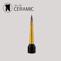 ALL-IN-CERAMIC Pinselspitzen für Micro-Layering 4