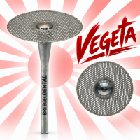 Vegeta Diamanttrennscheibe Ø 22 m gallery