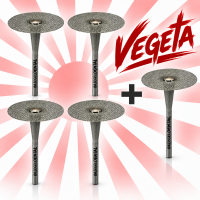 Vegeta 4+1 promotion diamond cutting disc &Oslash; 22...